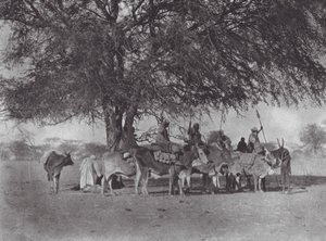 África: Caravana de jinetes de bueyes en el Nilo Blanco (foto b/n) de Hugo Adolf Bernatzik