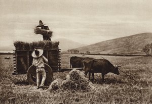 Mexico: Campesinos cosechando trigo (b/w photo) de Hugo Brehme