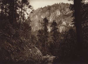 Mexico: La Canada, Contreras, D F (b/w photo)