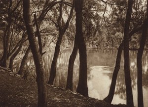 Mexico: Las fuentes de Tlalpam D F (b/w photo) de Hugo Brehme