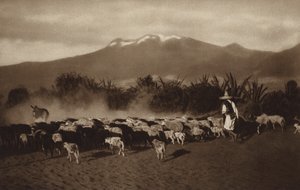 Mexico: Los alrededores de Amecameca (b/w photo) de Hugo Brehme