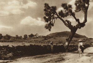 Mexico: Patzcuaro, El Calvario, Estado de Michoacan (b/w photo) de Hugo Brehme