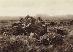 México: Pedregal, Corriente de basalto-lava cerca de San Angel (foto b/n) de Hugo Brehme