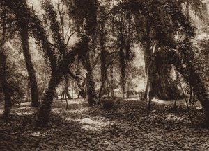 Mexico: Puesto idilico en el parque de Chapultepec (b/w photo) de Hugo Brehme