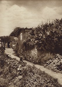 Mexico: Rincon pintoresco en San Angel D F (b/w photo) de Hugo Brehme
