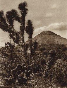 Mexico: San Juan Teotihuacan, Piramide de la Luna (b/w photo)