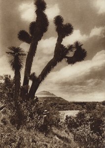 Mexico: San Juan Teotihuacan, Piramide del Sol (b/w photo) de Hugo Brehme