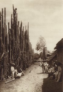 Mexico: Santiago, Calle de aldea caracteristica con cacteas en forma de columnas (b/w photo) de Hugo Brehme