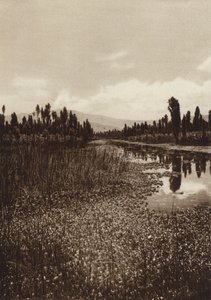 Mexico: Xochimilco, Uno de los canales principales (b/w photo)