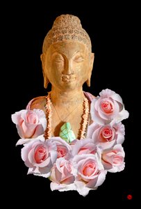 BUDDHA