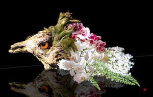 CRIATURAS FANTÁSTICAS de Hugo Nefe