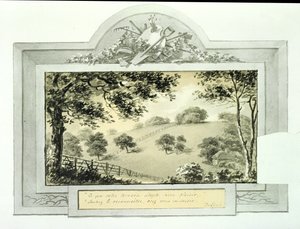 Vista 