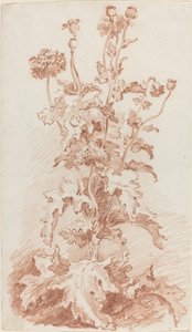 Amapolas con cápsulas de semillas de I Jean Baptiste Hüet