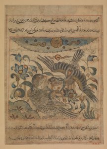 Par de águilas, Folio de un Manafi