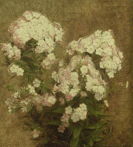 Phlox, 1870 de Ignace Henri Jean Fantin Latour