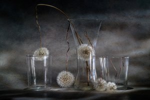  de Igor Kopcev