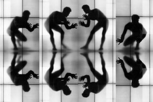 Siluetas dinámicas reflejadas de Igor Shrayer