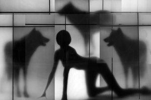Las sombras de la mujer y el lobo de Igor Shrayer