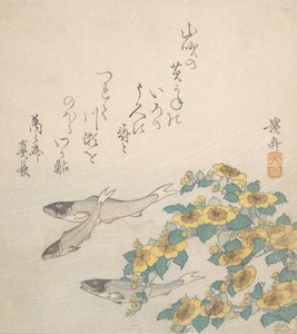 Peces Nadando con Flores Amarillas, ca. 1830 de Ikeda Eisen