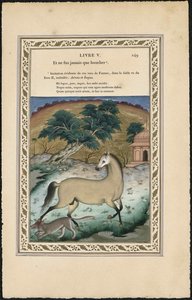 Le cheval et le loup, 1837-1839 de Imam Bakhsh Lahori
