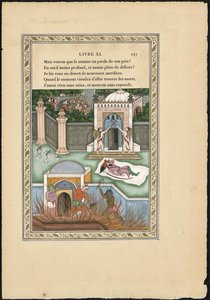 Sueño de un habitante del Mogol, 1837-1839 de Imam Bakhsh Lahori