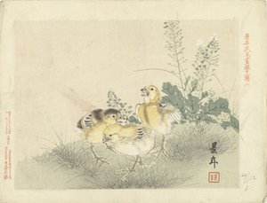 tres pollitos Bocetos de flores y pájaros de Keinen (título de la serie) Keinen kacho gafu (título de la serie sobre el objeto)