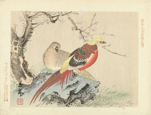 Par de faisanes en roca Bocetos de flores y pájaros de Keinen (título de la serie) Keinen kacho gafu (título de la serie sobre el objeto) de Imao Keinen
