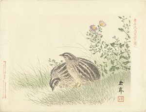 dos codornices Bocetos de flores y pájaros de Keinen (título de la serie) Keinen kacho gafu (título de la serie sobre el objeto)