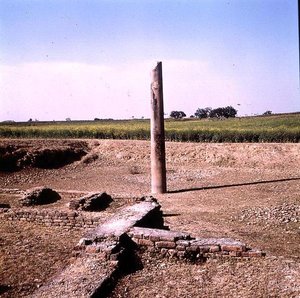 Pilar del Emperador Ashoka (c.264-223 a.C.) Maurya