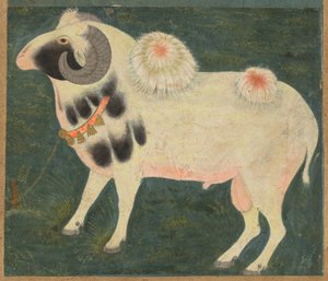 Un carnero real con una cadena de oro, c. 1585 (acuarela opaca y oro sobre papel)
