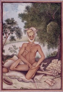 Añadir 27255 fol.370v Un asceta desnudo, de 