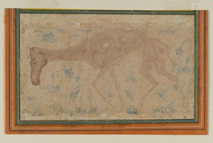 Un caballo demacrado, de Mughal o Decán, mediados del siglo XVII (tinta y lavado de color sobre papel) de Indian School