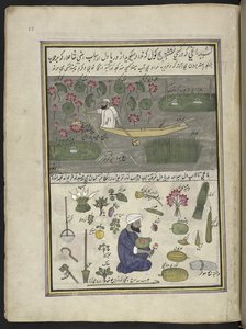 Barquero recogiendo raíz de loto; cultivo en el agua,  86 dibujos encuadernados en un volumen que representa oficios y ocupaciones en Cachemira, se muestra a los artesanos trabajando con sus implementos y equipos,  Por un artista de Cachemira, probablement de Indian School