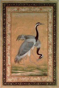 Grullas de Mansur, periodo Jahangir, mogol de Indian School
