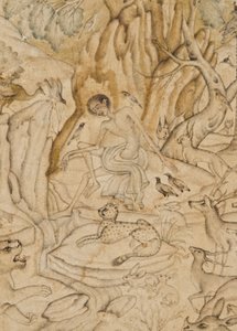 (detalle) Majnun en el desierto de Indian School