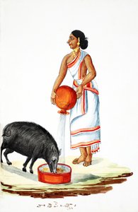 Alimentando un cerdo salvaje