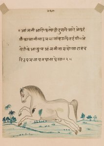 Caballo