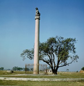 Pilar del León del Emperador Ashoka (c.264-223 a.C.)