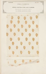 Muestra de muselina impresa con flores doradas de Jeypore en los Estados de Rajpootana, de La Colección de los Fabricantes de Textiles de la India, por John Forbes Watson, publicada en 1866 de Indian School