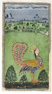 Pavo real mítico con cabeza de mujer, Hyderabad, c.1750