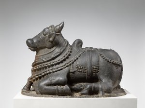 Nandi de Indian School