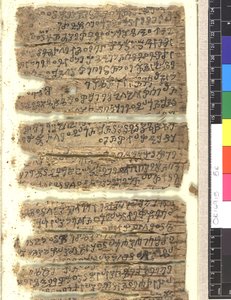 OMS OR 14915 f.5r Fragmentos de manuscrito de corteza de abedul en Kharoṣṭi de Indian School