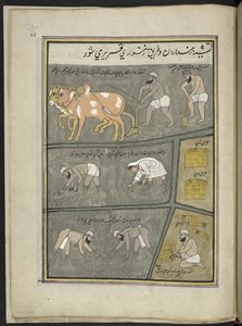 Arada; excavación; trasplante de arroz; cosecha,  86 dibujos encuadernados en un volumen que representa oficios y ocupaciones en Cachemira, se muestra a los artesanos trabajando con sus implementos y equipos,  Por un artista de Cachemira, probablemente en 