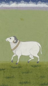 Carnero con collar dorado, 1700-1799