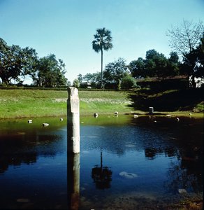Ruinas del Palacio de Pataliputra de Indian School