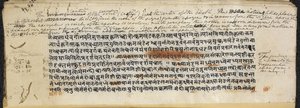 Texto de la 