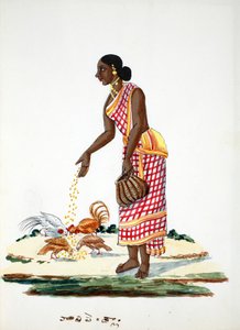 Mujer alimentando gallinas