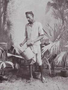Bombay / Mumbai: Jardinero (foto b/n) de Indian photographer
