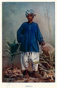 Nativos Indios: Cabulí