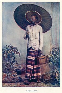 Nativos Indios: Cingaleses